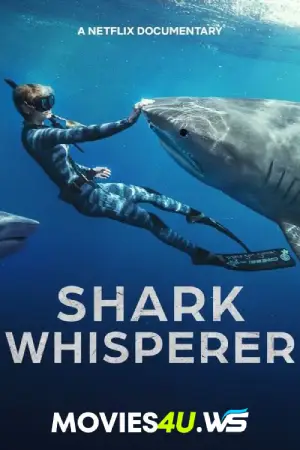 Shark Whisperer